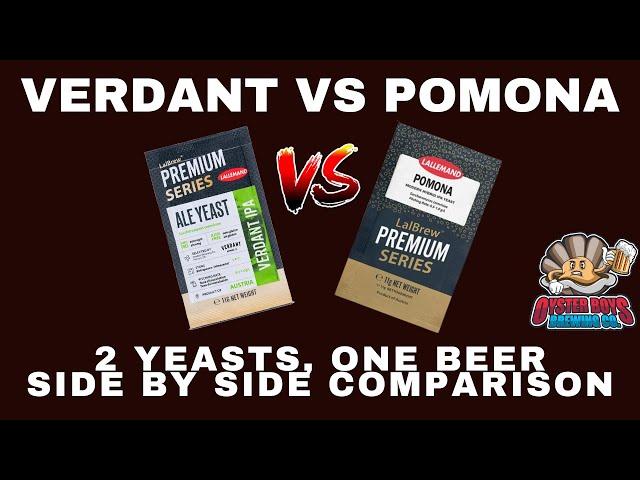 LalBrew Pomona vs LalBrew Verdant IPA Yeast  - Side By Side Comparison