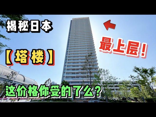 东京塔楼为何如此令人向往！真都有那么值吗？【11区小豪】