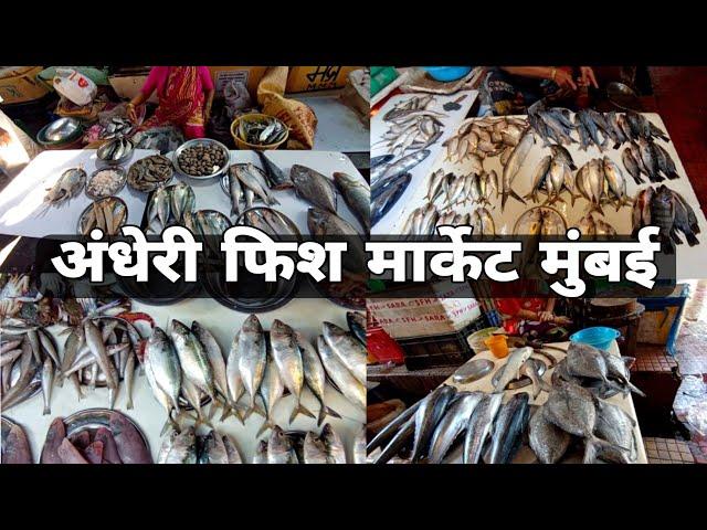 Andheri Fish Market In Mumbai Fish Market Andheri West 2023 Fish Market