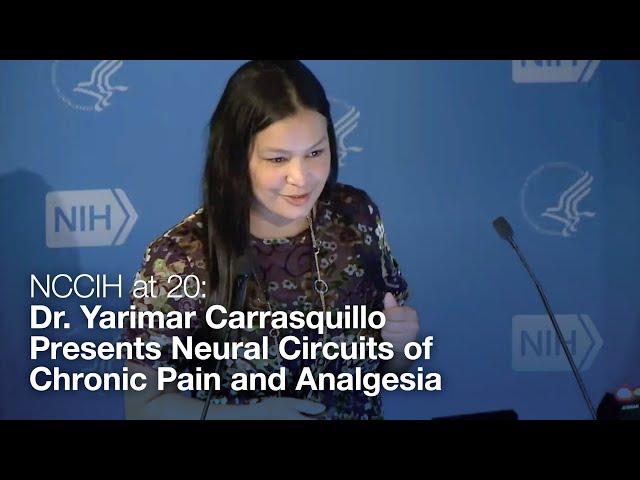 NCCIH at 20: Dr. Yarimar Carrasquillo Presents Neural Circuits of Chronic Pain and Analgesia