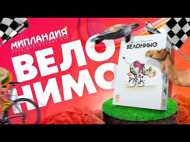 Игра «Велонимо», правила