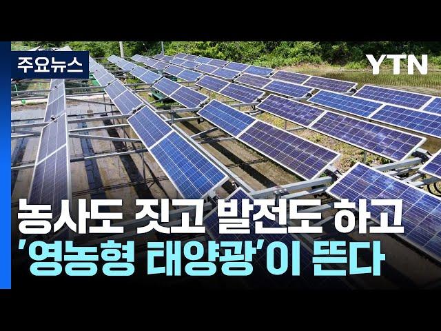 농사도 짓고 발전도 하고...'영농형 태양광'이 뜬다! / YTN