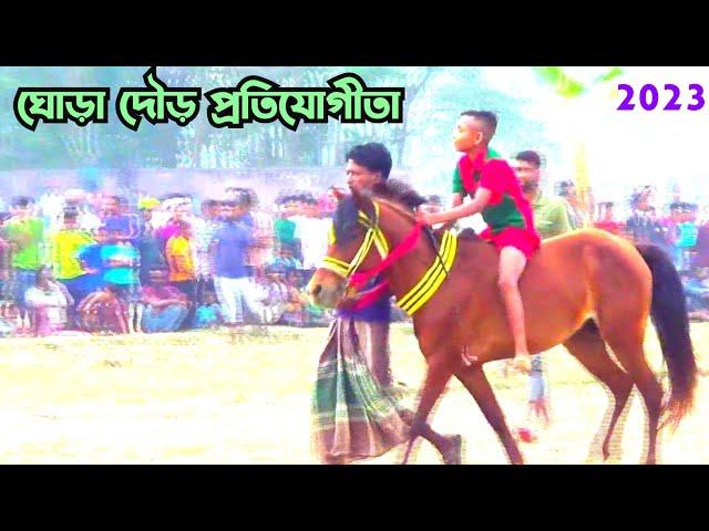 Horse Free Spirit  Bangla Blogs  Sylhet Bangladesh