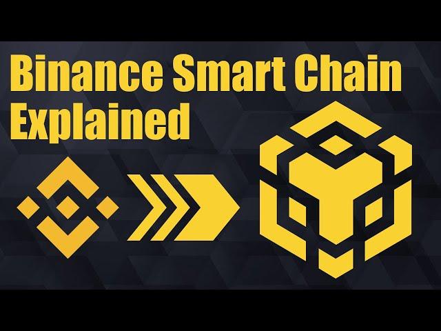 The Binance Smart Chain Explained - BNB Chain - BNB Smart Chain - BNB Beacon Chain - Binance Rebrand