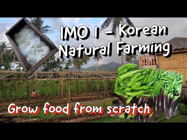 Korean Natural Farming IMO 1| No Synthetic Chemicals Used in Farming | White Molds Can Grow Food