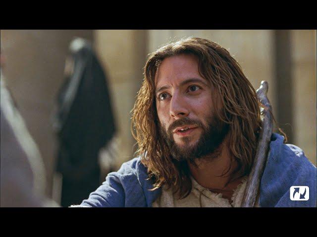 John 12 | A Different Kind of King | The Life of Jesus