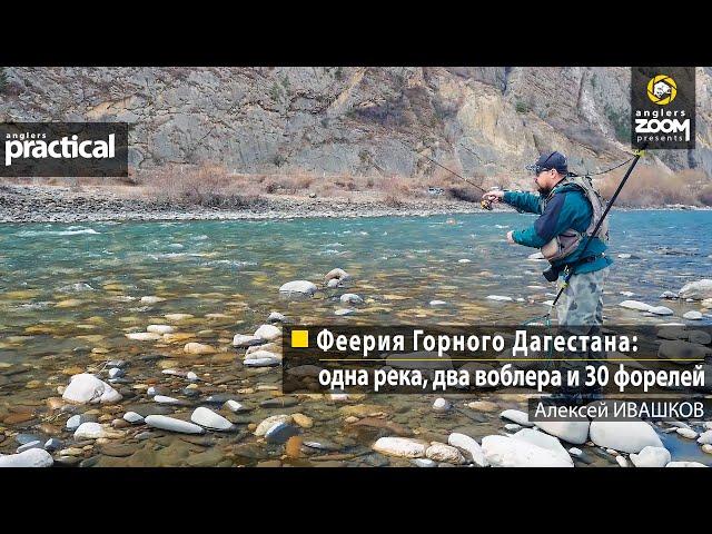 Феерия Горного Дагестана: одна река, два воблера и 30 форелей. Алексей Ивашков. Anglers Practical