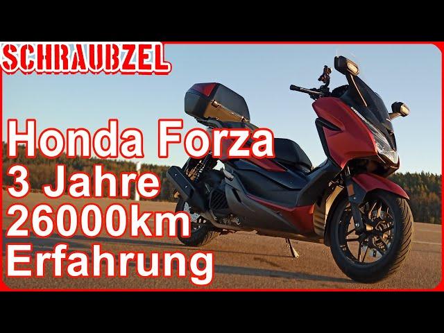 HONDA FORZA Youtuber zeigt dir seine Maschine  oder was du vor dem Kauf wissen solltest 