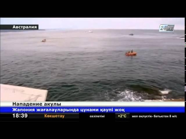 В Австралии акула напала на женщину и утащила ее в океан