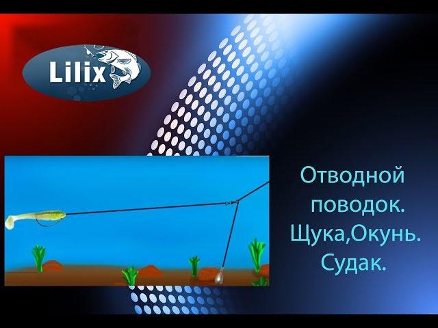 Отводной поводок. Щука. Окунь. Судак