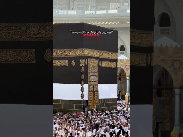 لبيك ربي وان لم اكن بين الزحام ملبيا  الله اكبر الله اكبر  يوم عرفة  عيد الاضحى 