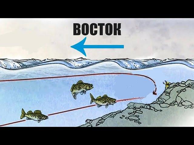 Почему бесполезно ехать на рыбалку, если ветер дует с востока?