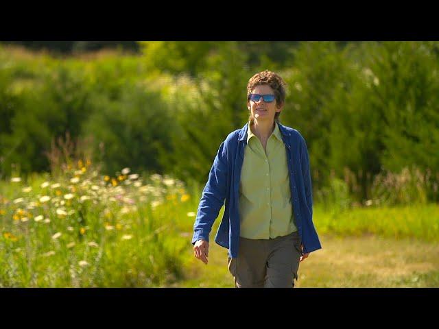 Living In the Moment  |  Marilyn Annucci