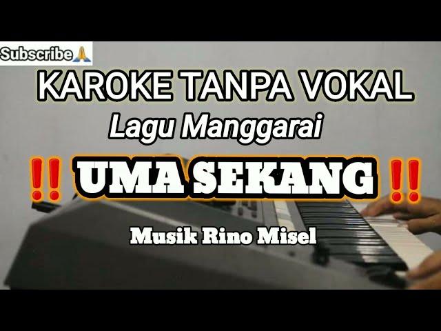 ‼️UMA SEKANG ‼️KAROKE LAGU MANGGARAI TANPA VOKAL RISAN LEMBOR