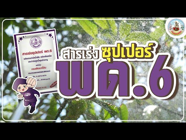 สารเร่งซุปเปอร์ พด.6 ยกกำลัง 3 บำบัดขจัดลดน้ำเสียเชียร์ให้ใช้ไร้ยุงรำคาญ