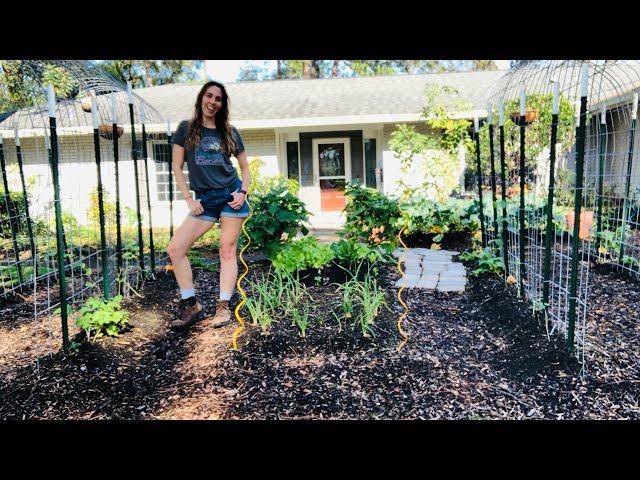 Harvesting Pounds of Food in Winter | Florida Urban Homestead Tour | Winter Garden Florida