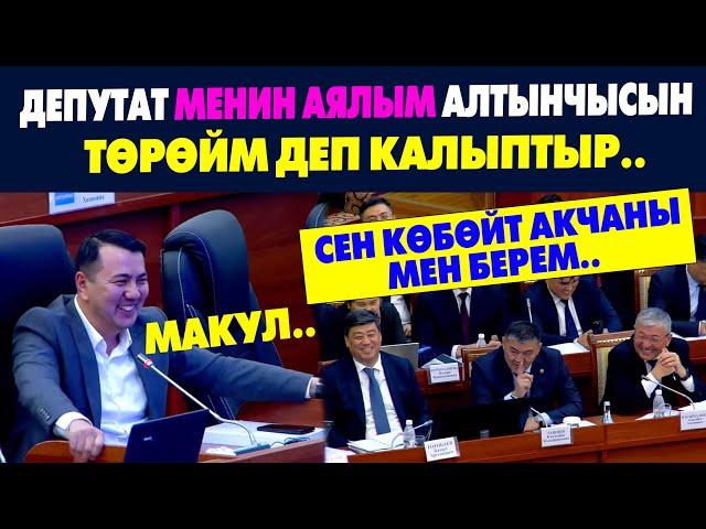 Депутат менин аялым көп төрөйм деп жатат..