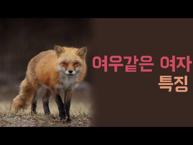 여우같은 여자의 특징