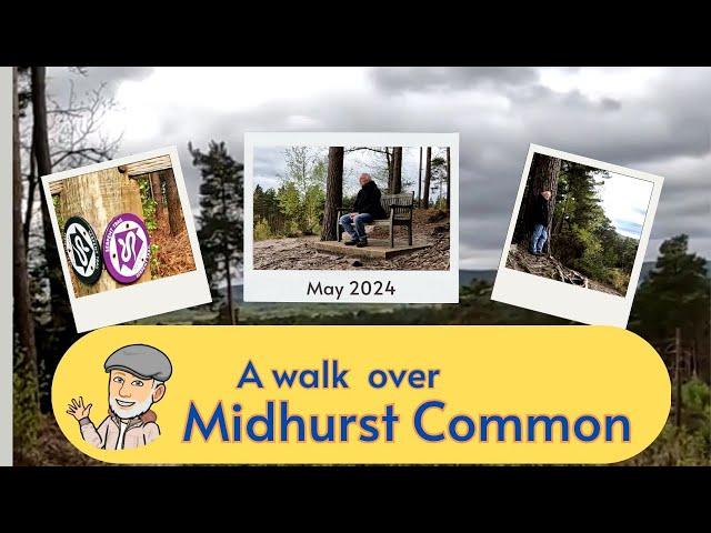 Walking over Midhurst Common