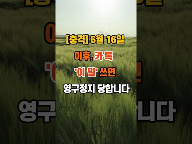 [충격] “6월 16일 이후, 카톡 '이 말' 쓰면 영구정지 당합니다” #인생조언  #명언 #좋은글 #지혜