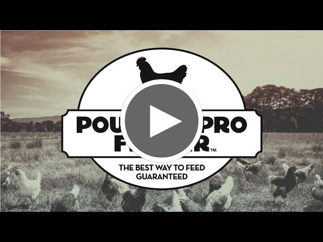 Poultry Pro Feeder, The Best Way To Feed Guaranteed