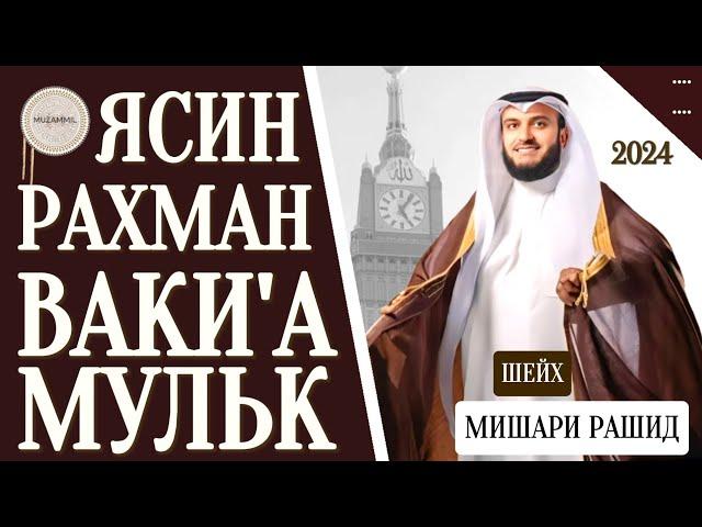 Мишари Рашид красивое чтение Ясин.Рахман Ваки'а,Мульк слушайте #quranuz #yasin