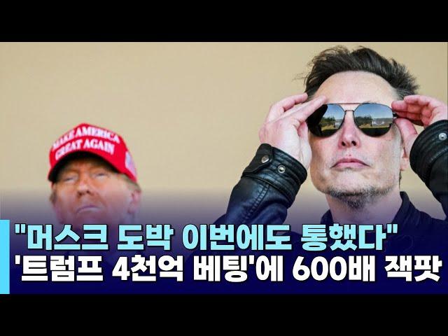 "머스크 도박 이번에도 통했다"…트럼프에 4천억 투자하고 600배 넘게 벌었다