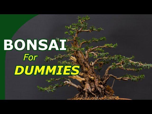 Starting with bonsai made easy (An overview to start growing bonsai)