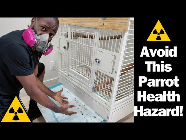 You MUST Change Your Parrot's Cage Tray EVERYDAY! | Key Reasons Revealed