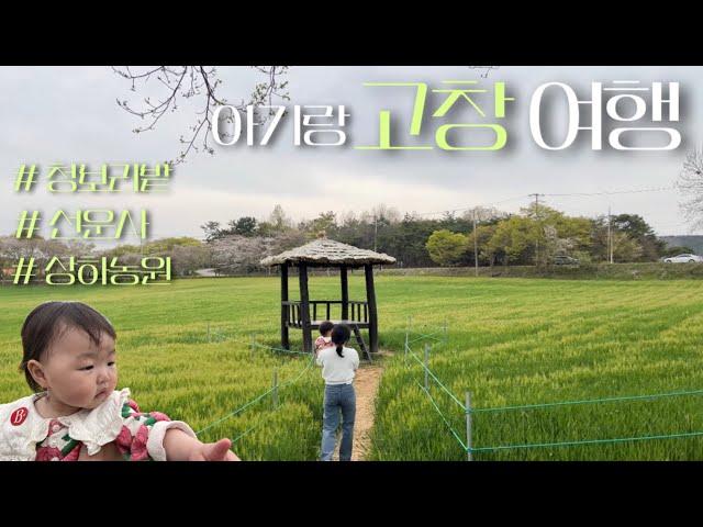 [고창여행] 아기랑 고창 가볼만한 곳 | 고창청보리밭, 상하농원, 선운사