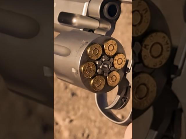 Revolver Smith&Wesson M686 Competitor.357 Mag #acehgunfishing