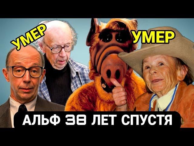 Как Снимали и Что Стало с Актёрами Культового Сериала АЛЬФ? | Ностальгия | Тогда и Сейчас | Детство