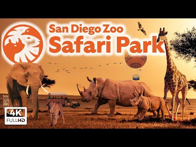 San Diego Zoo Safari Park - Top 10 Tips, Park Tour & Animal Guide