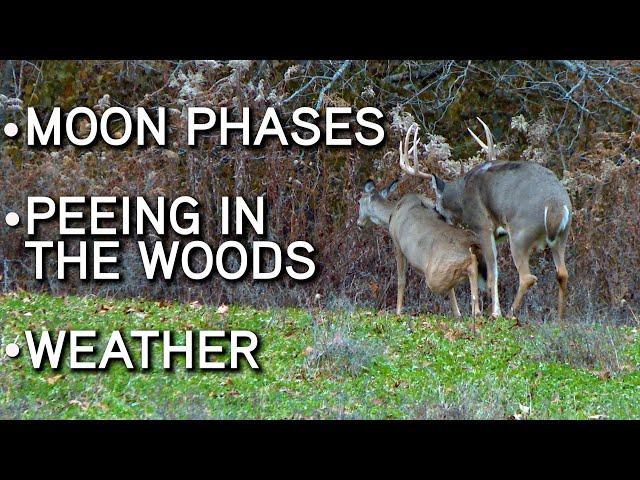 Deer Hunting MYTHS And FACTS!! | Moon Phases | Peeing In The Woods | Weather