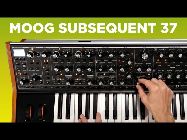 Moog Subsequent 37 Sounds