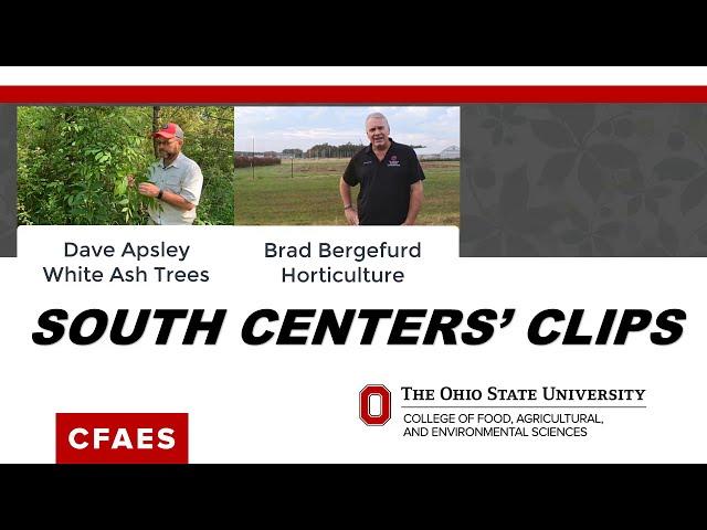 1- SOUTH CENTERS CLIPS: White Ash Trees, Horticulture at South Centers, Good and Bad Fat