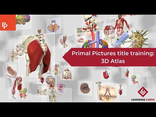 Primal Pictures title training: 3D Atlas