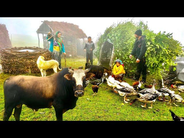 Nomads' Efforts to Survive from Sudden Onset of Rain in the Summer