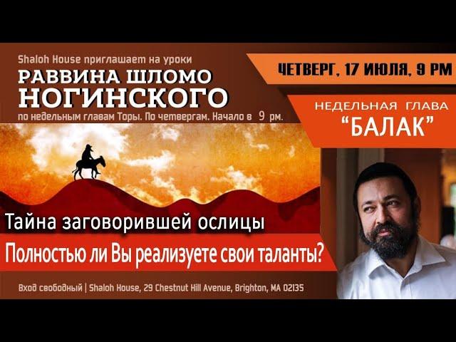 Недельная глава "Балак" . Тайна заговорившей ослицы. Полностью ли Вы реализуете свои таланты?