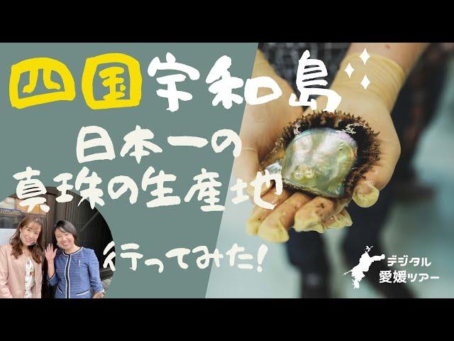 《四国宇和島》 男性も女性も#With Pearl。「あこやパール」の華麗な普段使いを井上真珠店がご提案！ライブコマース_デジタル愛媛ツアー  WithPearl