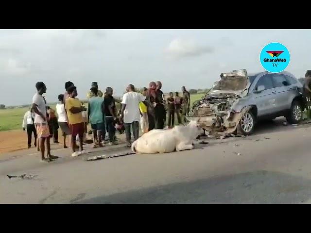 4 wheel drive destroyed as it collides with herd of cattle on the Accra Aflao Highway