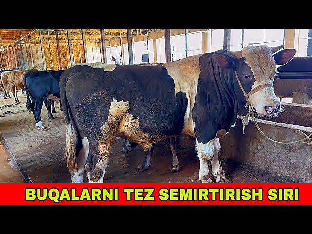 BUQA BOQISH SIRLARI TEZ SEMIRTIRISH USULI