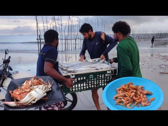 200 kg DE PEIXES CAPTURADOS EM RAPOSA. PESCA DE CAMARÃO E SIRI.