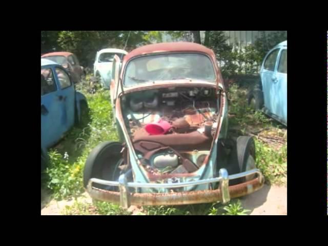 Don's Bug Barn, VW Salvage Yard