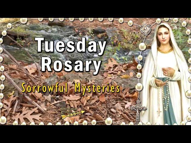 TODAY HOLY ROSARY Tuesday  Sorrowful Mysteries Rosary, NOVEMBER 19, 2024