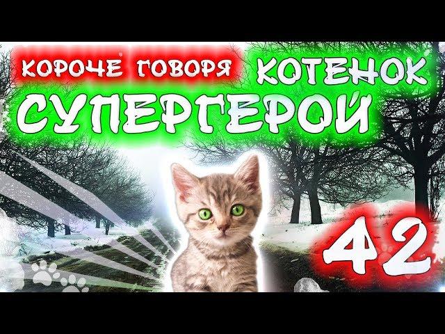 КОРОЧЕ ГОВОРЯ, КОТЕНОК СУПЕР ГЕРОЙ 42 / Бездомный котенок Лайки / Вопрос-Ответ