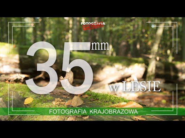  35mm w lesie - fotografia krajobrazowa - Fotografia jest Fajna