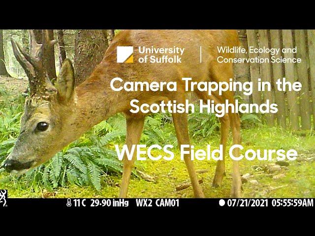 Camera Trapping in the Scottish Highlands with Lowri and Amber