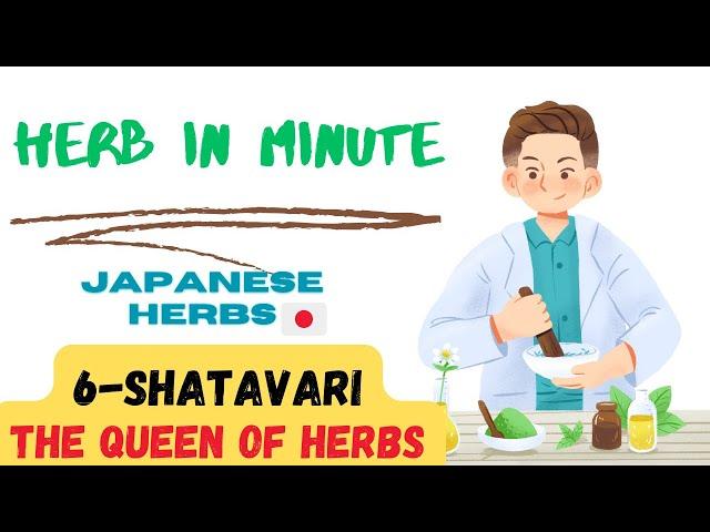 6- Shatavari or Queen of herbs (Japanese of herbs)