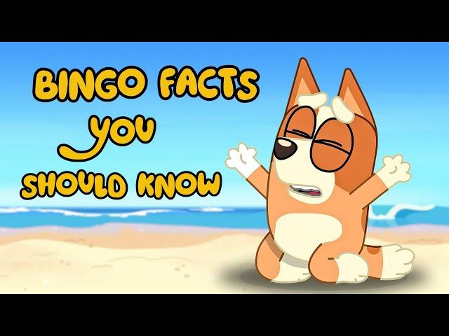 Bingo Facts You Should KNOW - BLUEY